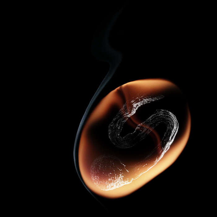 Embryo © Stanislav Aristov http://poltergejst.com/